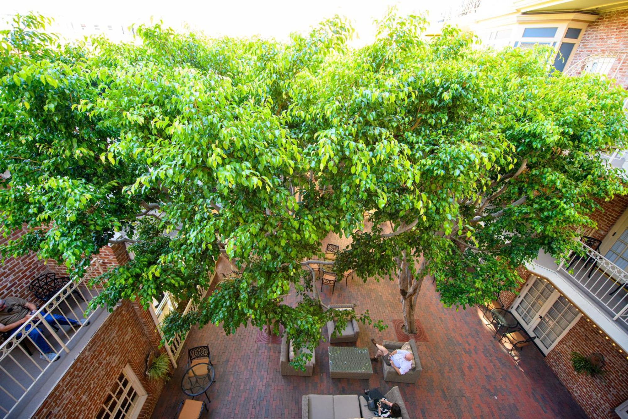 Horton Grand Hotel San Diego Bagian luar foto